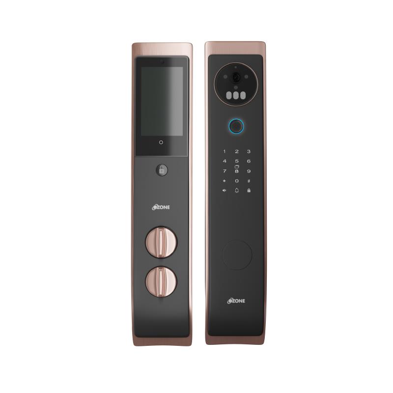 Face & Palm Recognition Smart Door Lock