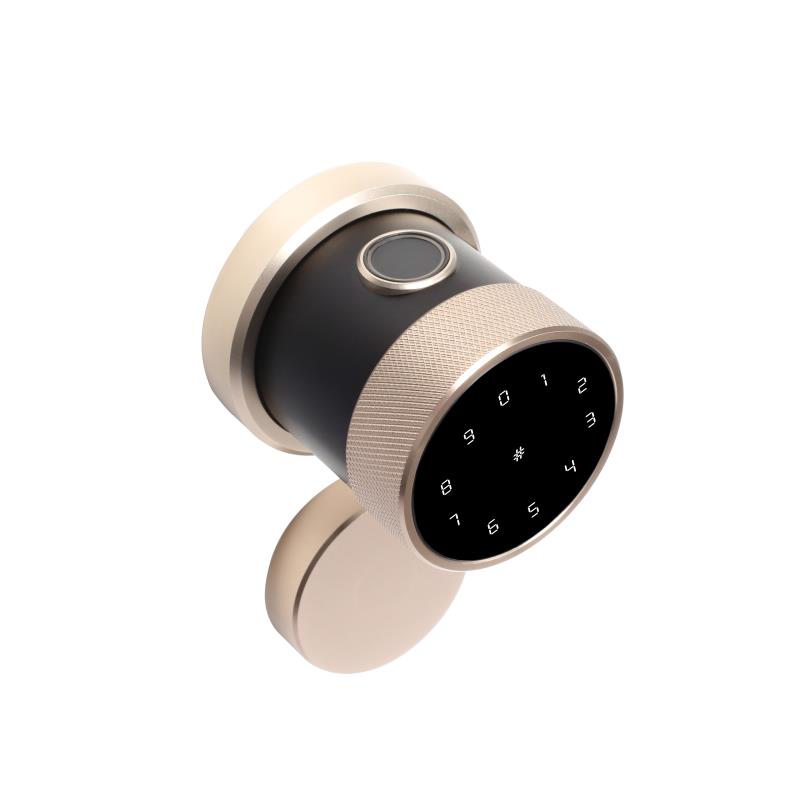 OZ-FDL-11-R Life Gold