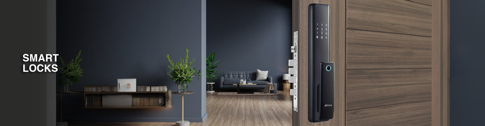 Smart Locks
