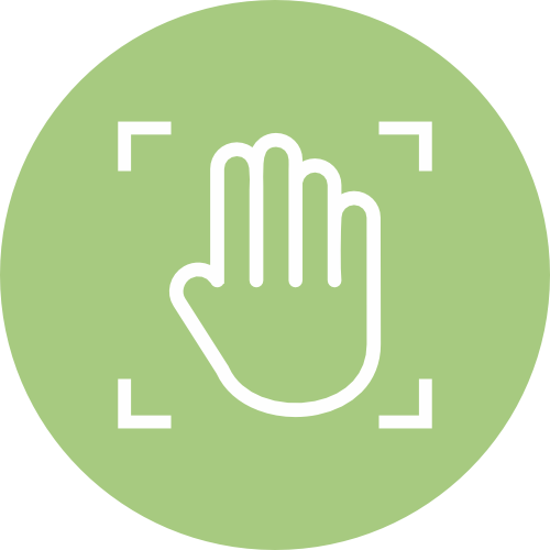  Palm Recognition 