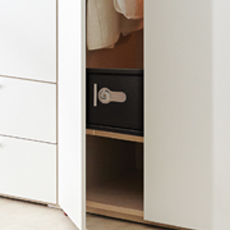 Manual Safes