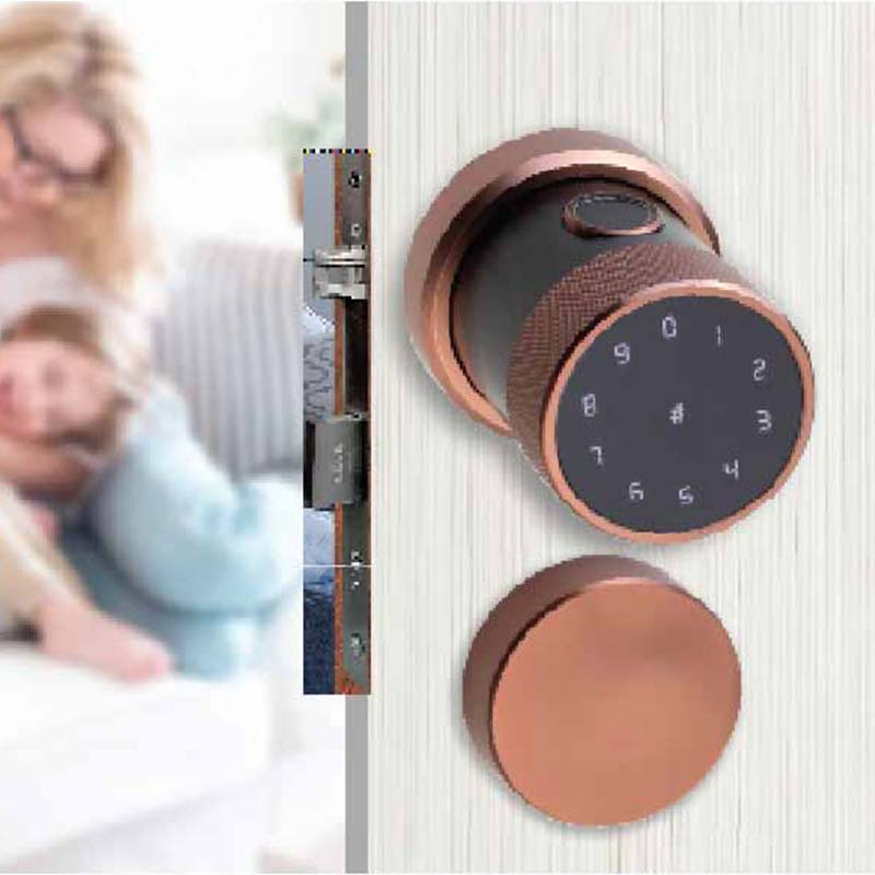 Smart Locks