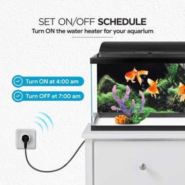 Smart Plug 10A Life | Ozone